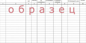Журнал учета и осмотра страховочных привязей