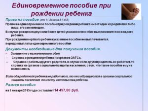 Единовременное пособие при рождении ребенка в 2020 году в челябинске документы