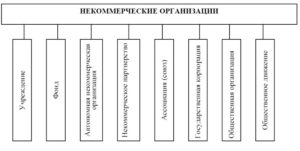 Виды некоммерческих организаций 2020