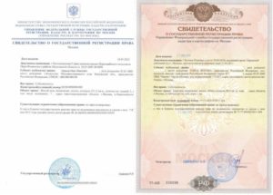 2020 свидетельство собственности на квартиру серия и номер где смотреть