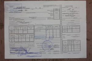 Нужен ли путевой лист директору