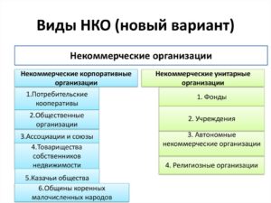 Виды некоммерческих организаций 2020