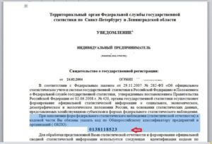 Информационной письмо об участии статрегистра росстата