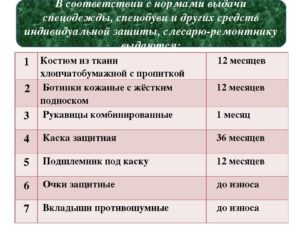 Нормы выдачи спецодежды 2020 охранник
