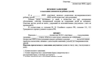Заявление на алименты в мировой суд образец 2020 бланк гражданский брак