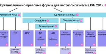 Организационно-правовая форма какой код для ооо 2020