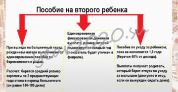 Губернаторские выплаты за второго ребенка в 2020 Губернаторские выплаты за второго ребенка в 2020