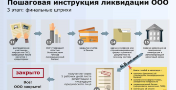 Ликвидация ано в 2020 году пошаговая инструкция Ликвидация ано в 2020 году пошаговая инструкция
