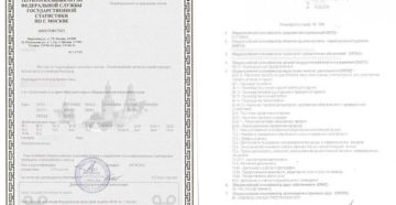 Как получить информационное письмо об учете в егрпо с печатью Как получить информационное письмо об учете в егрпо с печатью