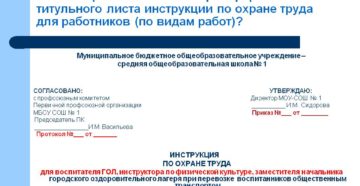 Образец титульного листа инструкции по охране труда 2020