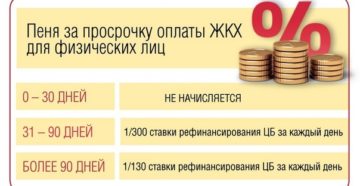 Пени за просрочку платежа за электроэнергию косгу в 2020 году