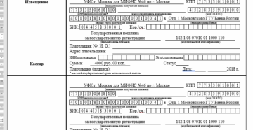 Заказать устав в налоговой госпошлина