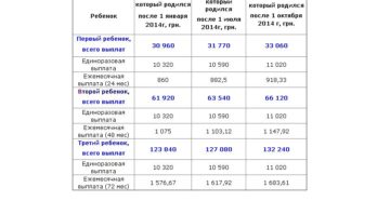Выплаты при рождении второго ребенка в 2020 году в санкт-петербурге