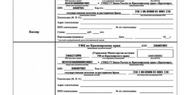 Госпошлина за развод в 2020 году через суд сумма