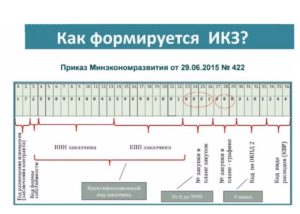 Икз код закупки из чего состоит по 223 фз