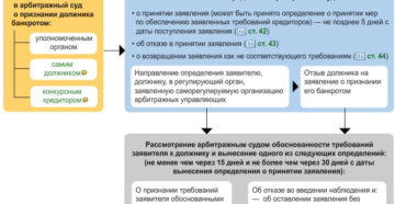 Куда деваться декретнице при банкротстве