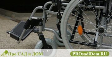 Закон об отдыхе в россии на море для детей инвалидов в2020 году